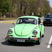 classic beetle
