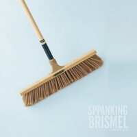 Spanking Bristle