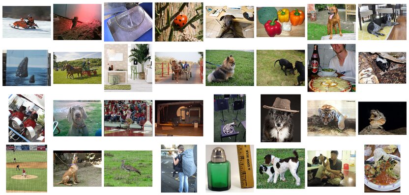 ImageNet Large Scale Visual Recognition Challenge | DeepAI