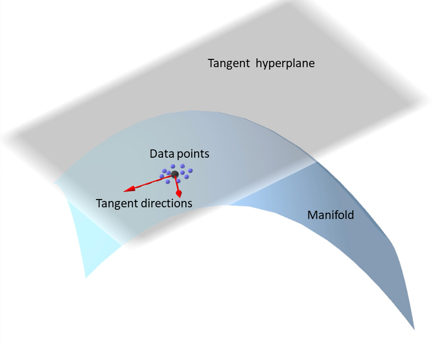The Local Dimension of Deep Manifold DeepAI