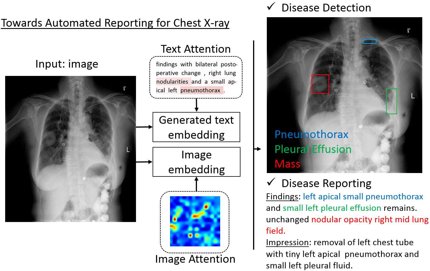 TextImage Embedding Network for Common Thorax Disease