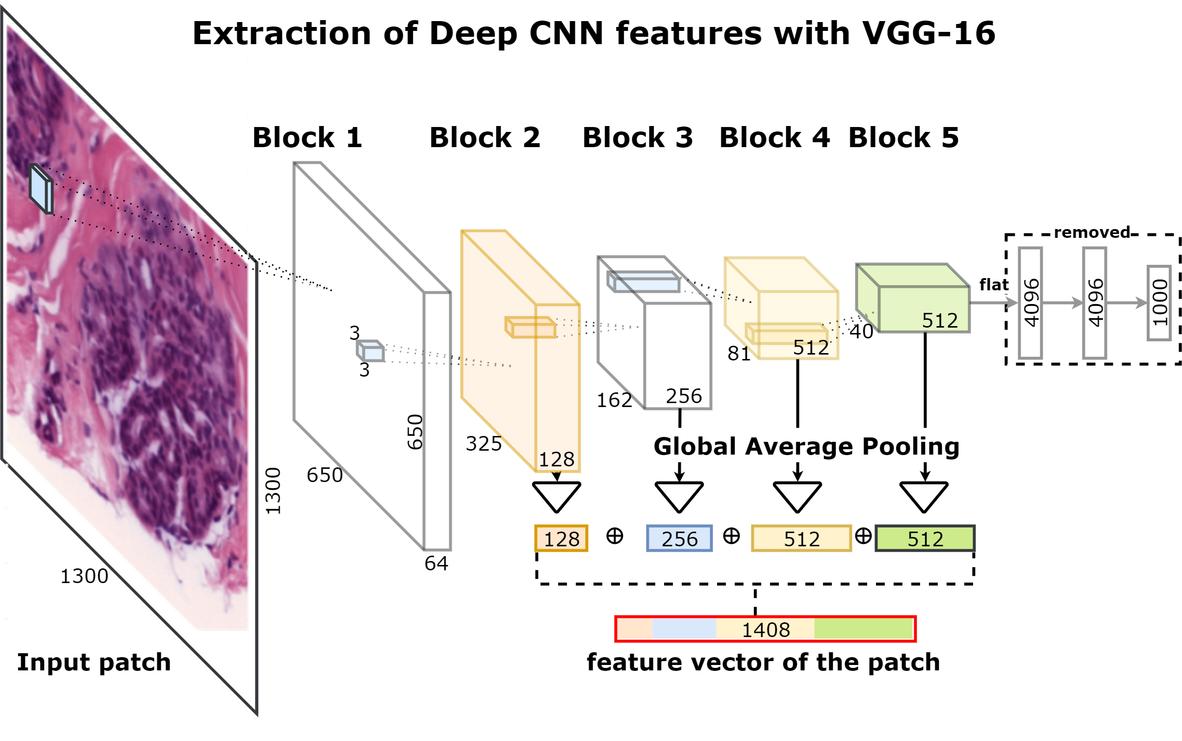 Convolutional Neural Network Based Breast Cancer Risk Stratification