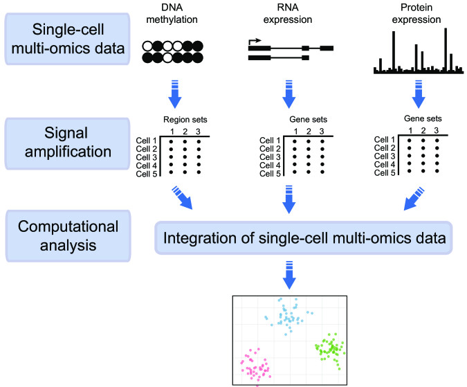 Single-cell-based models in biology and medicine
