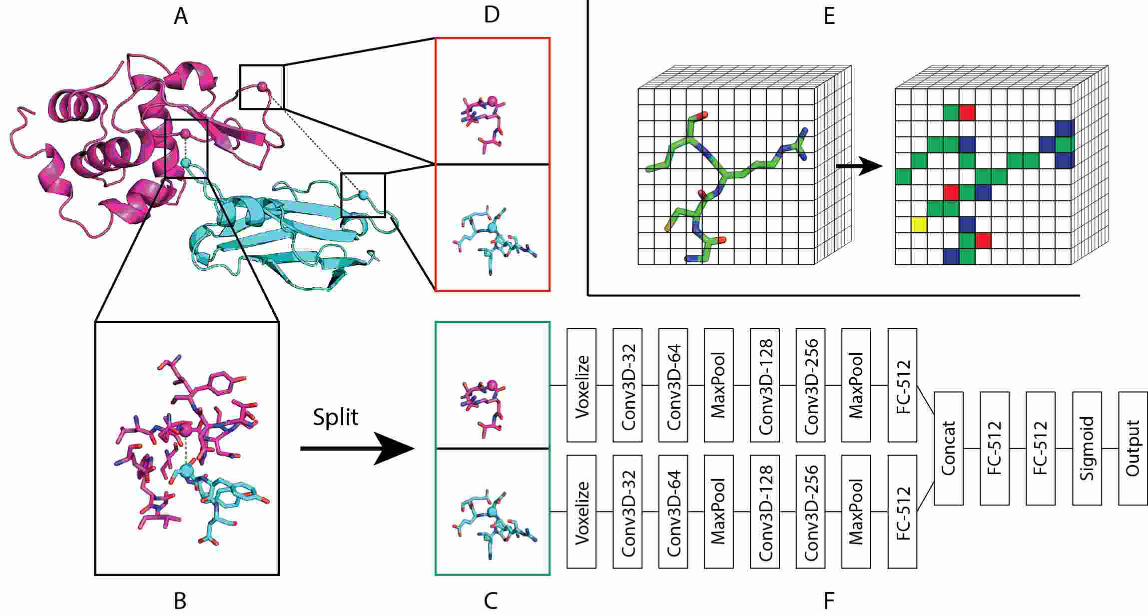 Generalizable Protein Interface Prediction With End To End Learning