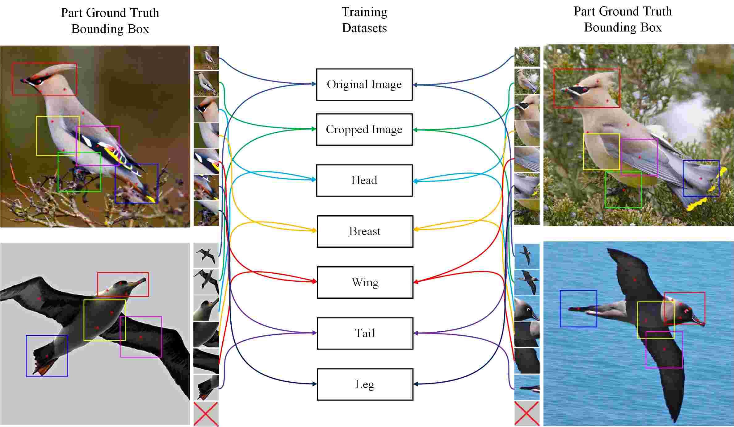 Finegrained visual recognition with salient feature detection DeepAI