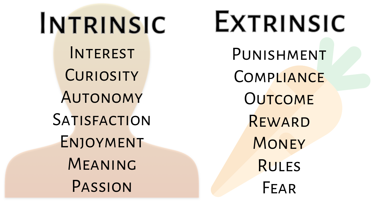 Definition of extrinsic vs intrinsic motivation