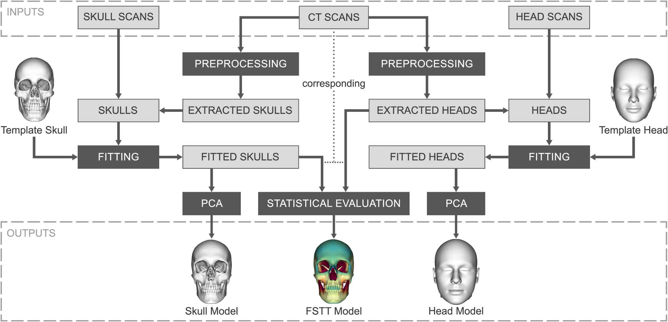 A Method For Automatic Forensic Facial Reconstruction Based On Dense ...