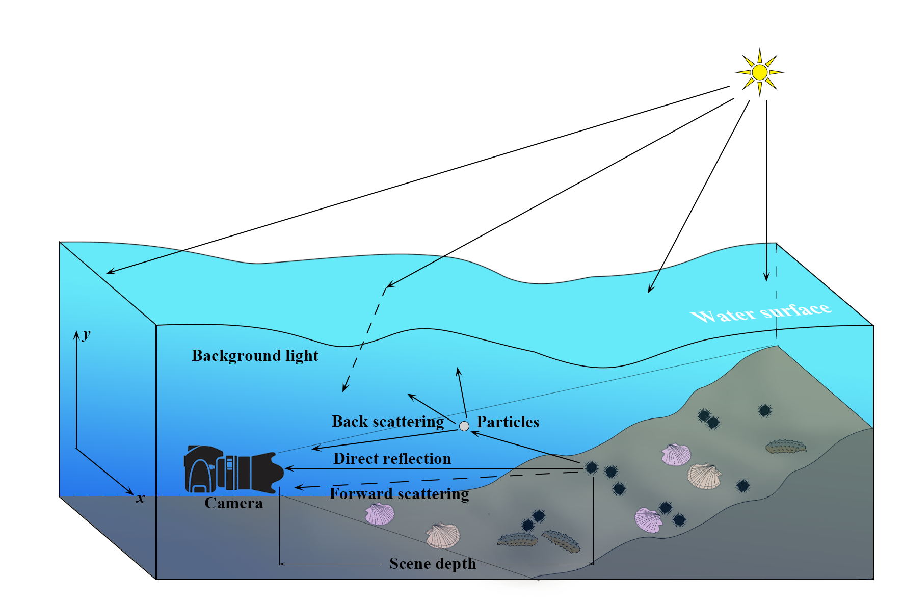 Realworld Underwater Enhancement Challenging, Benchmark and Efficient