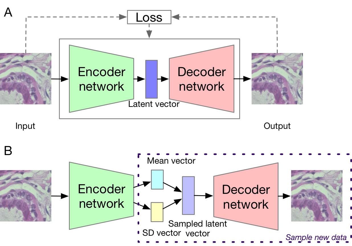 Deep learning in bioinformatics: introduction, application, and ...