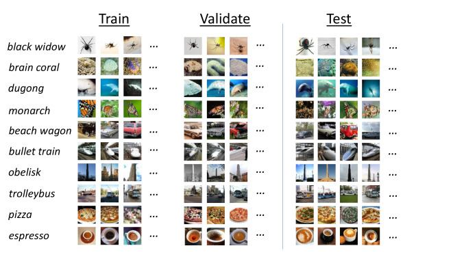 Learning a smooth kernel regularizer for convolutional neural networks ...