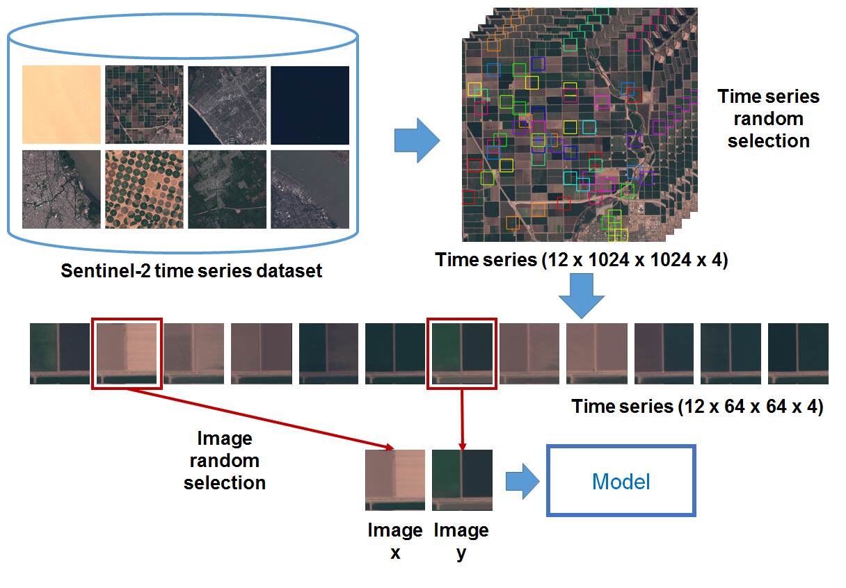 Learning disentangled representations of satellite image time series