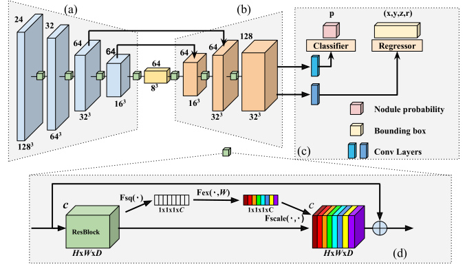 DeepSEED: 3D Squeeze-and-Excitation Encoder-Decoder ConvNets for ...