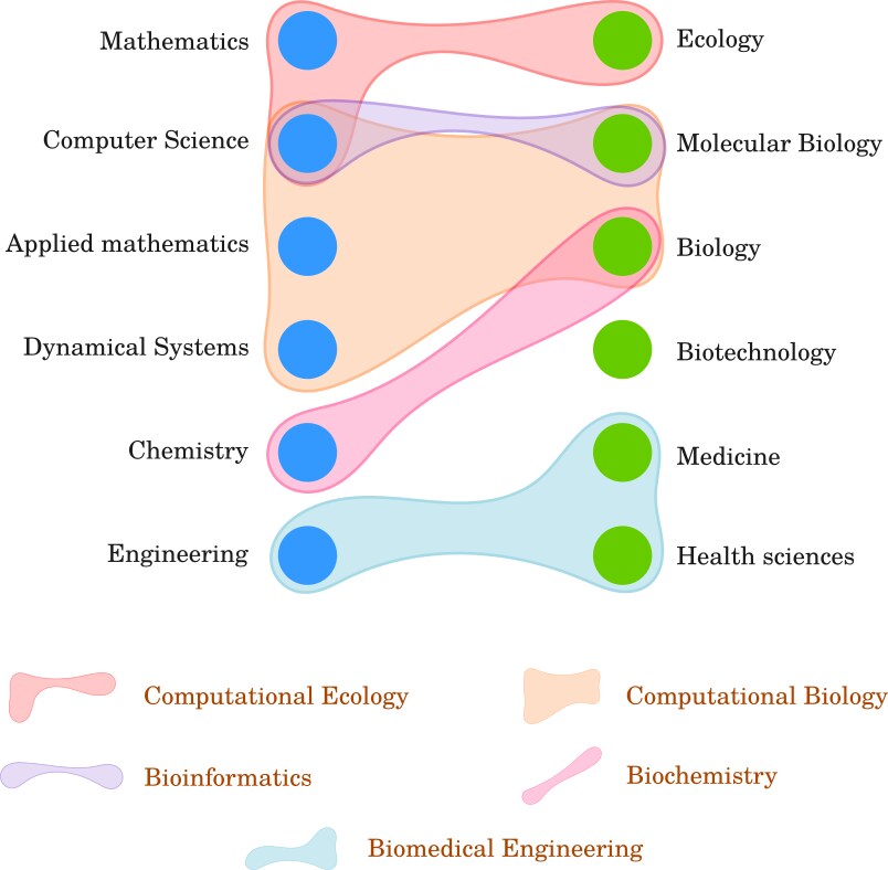 Interdisciplinary Relationships Between Biological and Physical