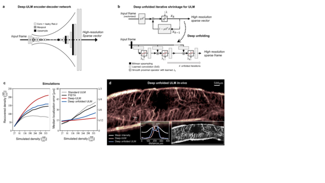 Deep learning in ultrasound imaging | DeepAI