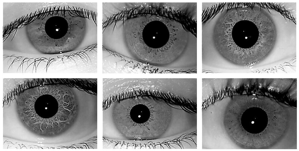 DeepIris: Iris Recognition Using A Deep Learning Approach | DeepAI