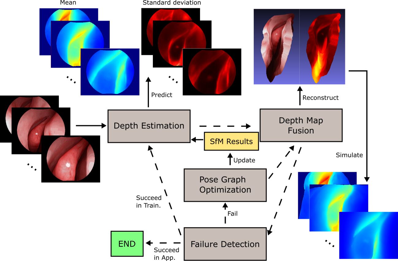 Selfsupervised Dense 3D Reconstruction from Monocular Endoscopic Video