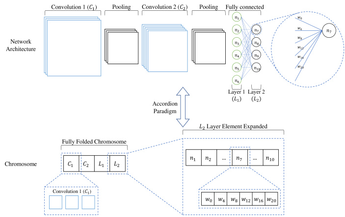 GACNN: Training Deep Convolutional Neural Networks with Genetic ...