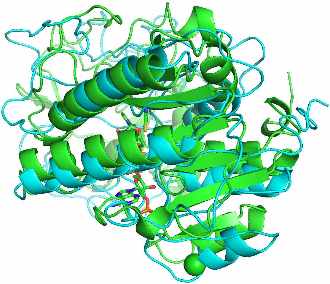Accurate Protein Structure Prediction by Embeddings and Deep Learning ...