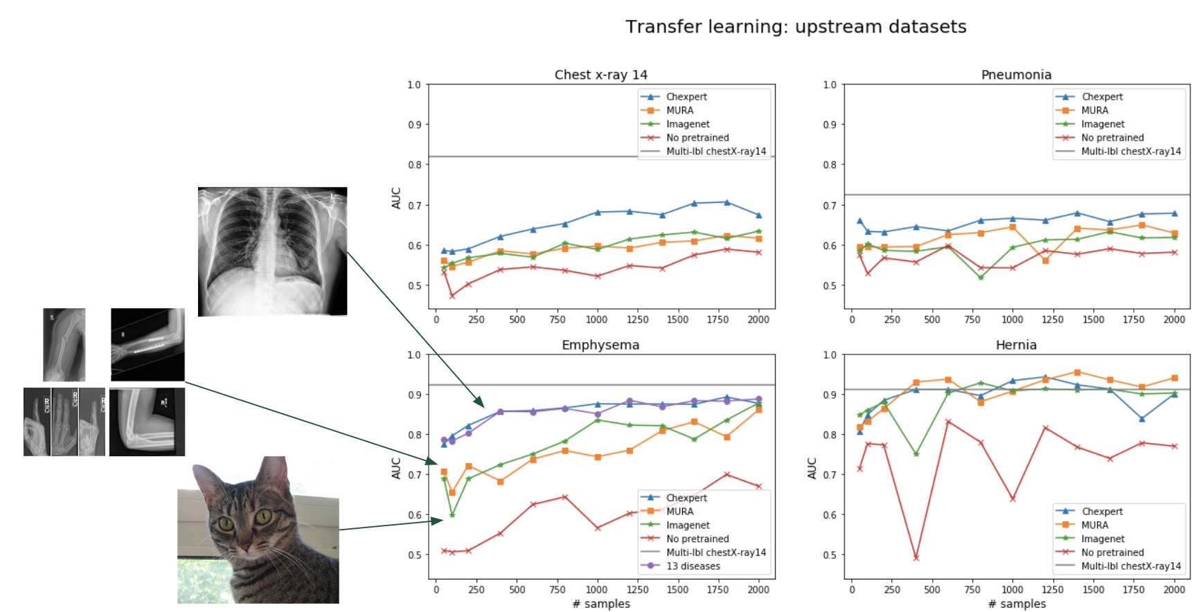 Training Deep Learning models with small datasets DeepAI