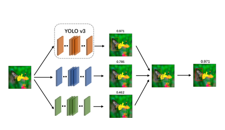 Butterfly detection and classification based on integrated YOLO ... image.
