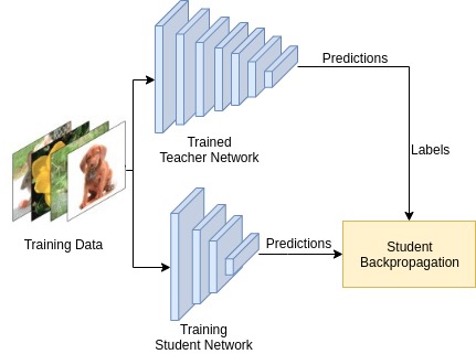 Squeezed Deep 6DoF Object Detection Using Knowledge Distillation | DeepAI