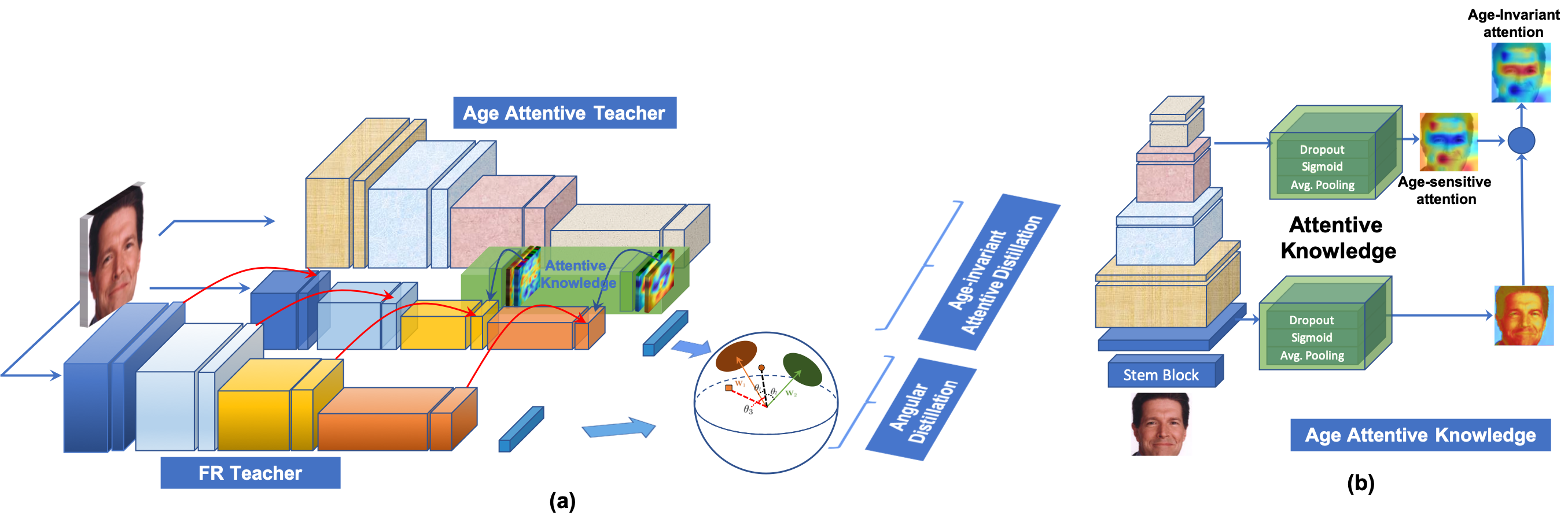 Beyond Disentangled Representations An Attentive Angular Distillation Approach to Largescale