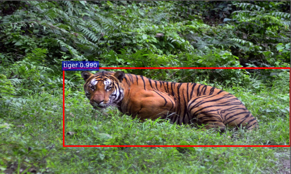 Automatic Detection and Recognition of Individuals in Patterned Species ...