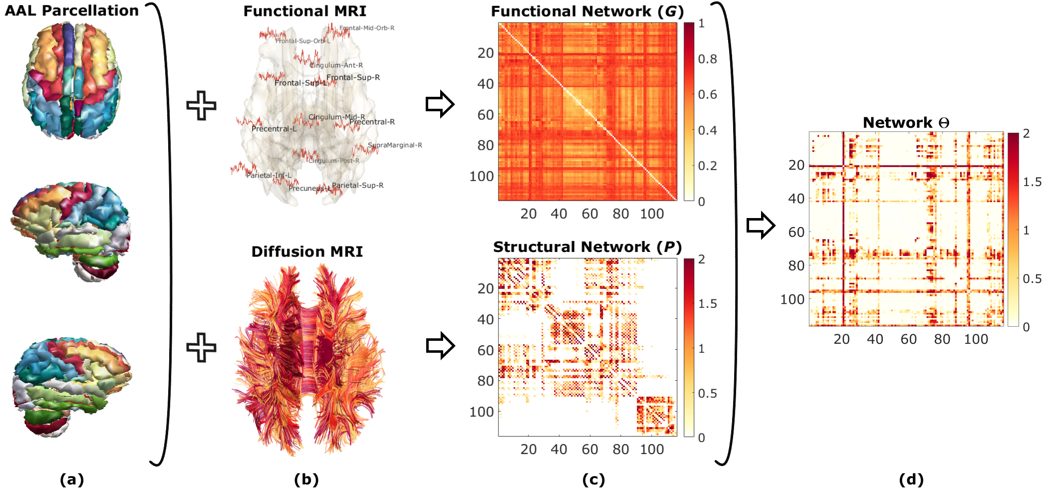 Topological Learning For Brain Networks Deepai Topological Learning For Brain Networks Deepai