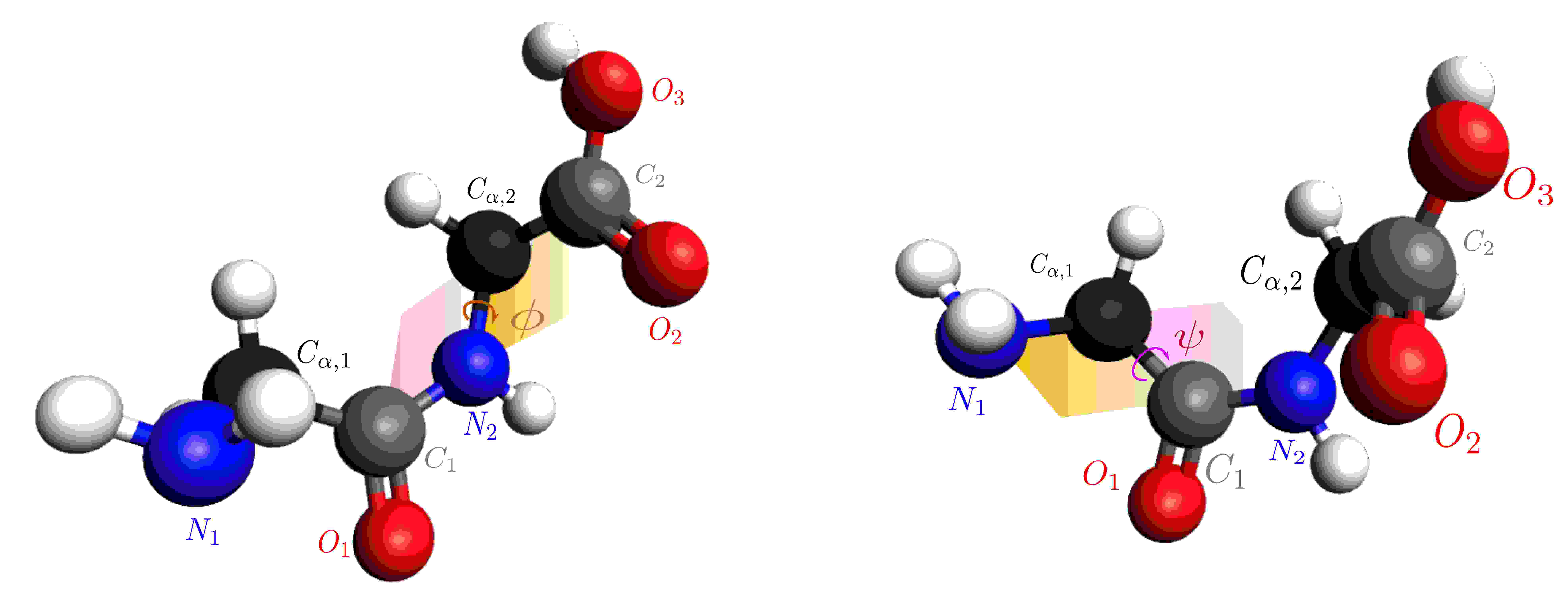 QFold Quantum Walks and Deep Learning to Solve Protein Folding DeepAI