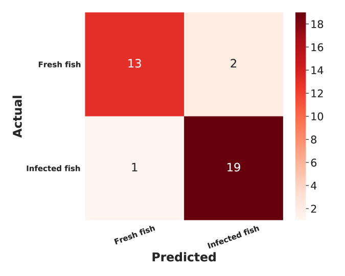 Fish Disease Detection Using Image Based Machine Learning Technique in