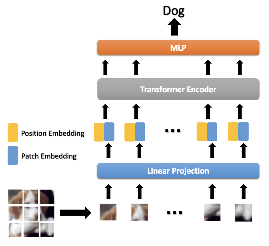 Privacy-Preserving Image Classification Using Vision Transformer | DeepAI