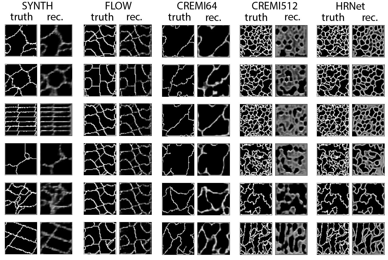 Autoencoder-Aided Visualization of Collections of Morse Complexes | DeepAI