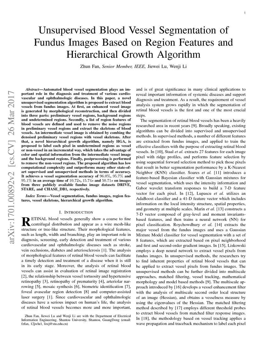 A Hierarchical Image Matting Model for Blood Vessel Segmentation in