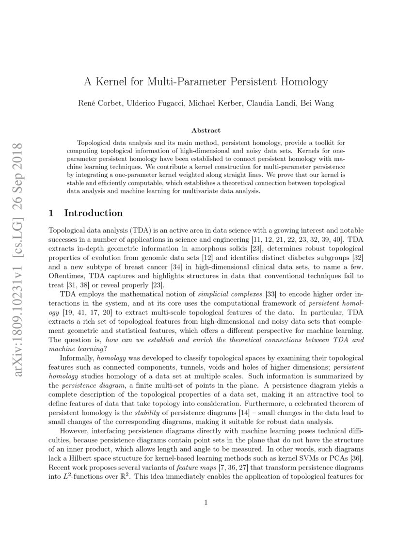 A Kernel for MultiParameter Persistent Homology DeepAI