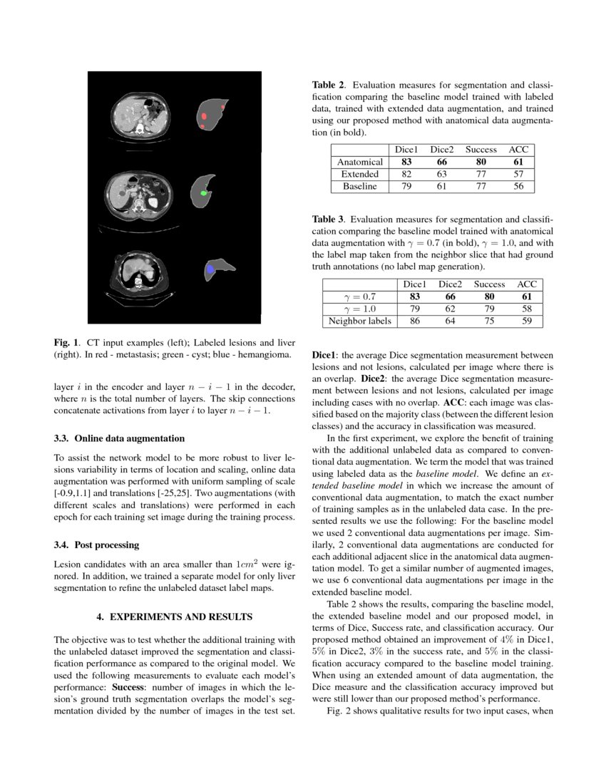 Anatomical Data Augmentation For CNN based Pixelwise Classification DeepAI