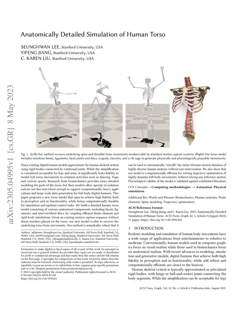Anatomically Detailed Simulation of Human Torso DeepAI
