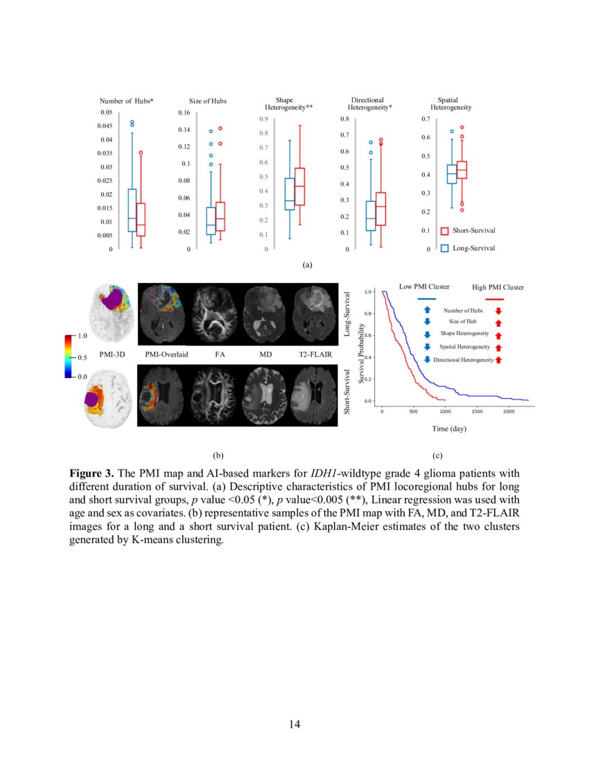 Artificial intelligencebased locoregional markers of brain peritumoral