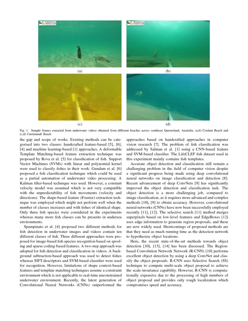 Assessing fish abundance from underwater video using deep neural ...