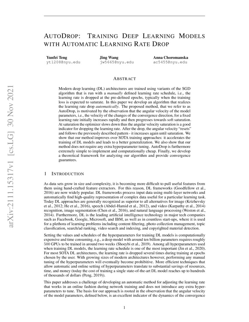 AutoDrop Training Deep Learning Models with Automatic Learning Rate