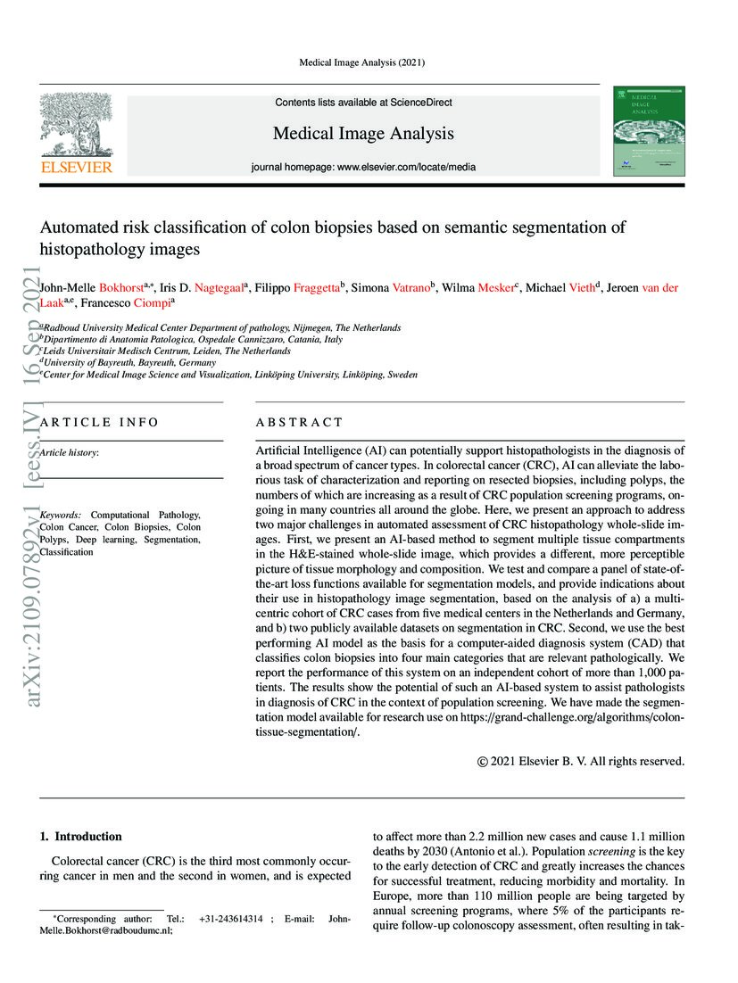 Automated risk classification of colon biopsies based on semantic ...