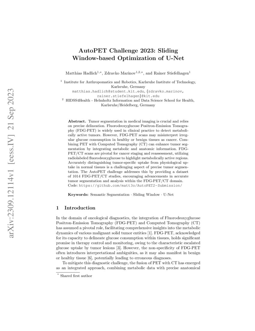 AutoPET Challenge 2023 Sliding Windowbased Optimization of DeepAI