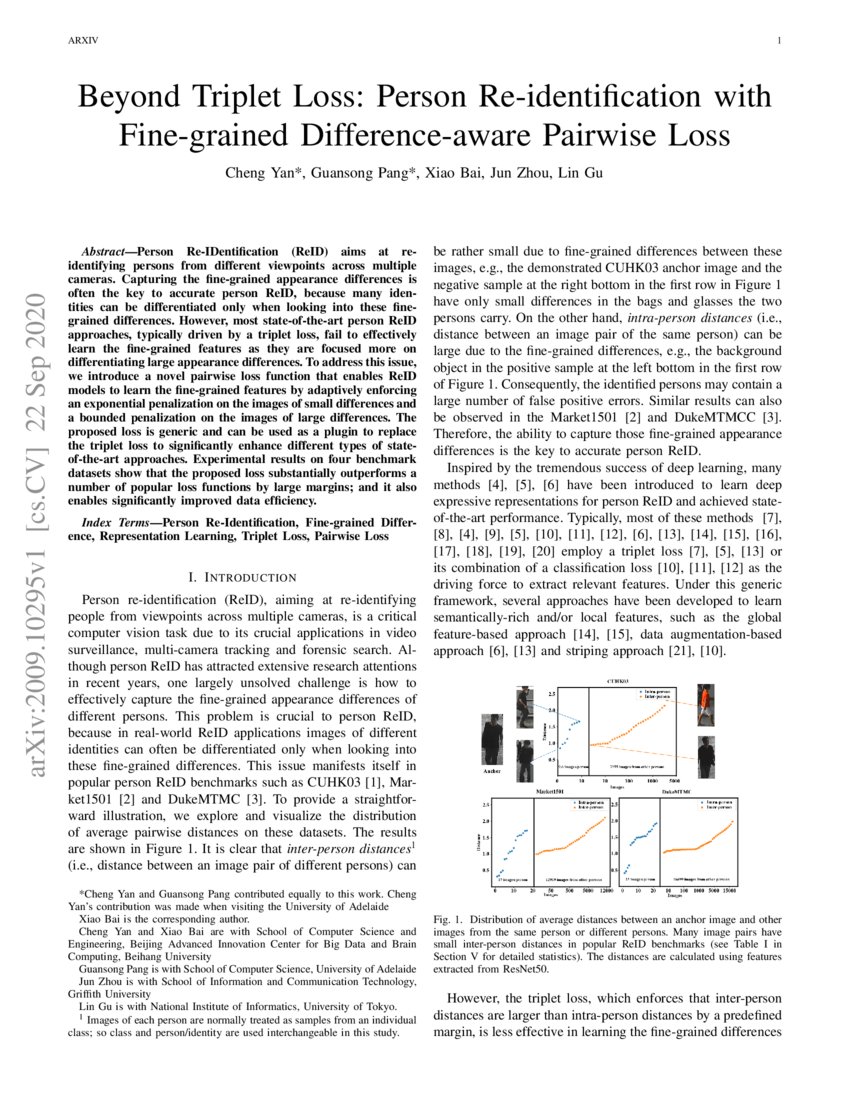 Beyond Triplet Loss Person Reidentification with Finegrained
