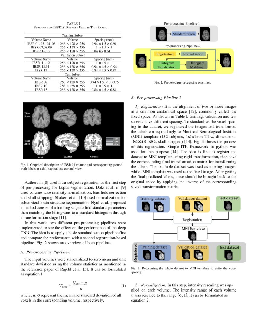 Brain Tissue Segmentation Using NeuroNet With Different Pre-processing ...