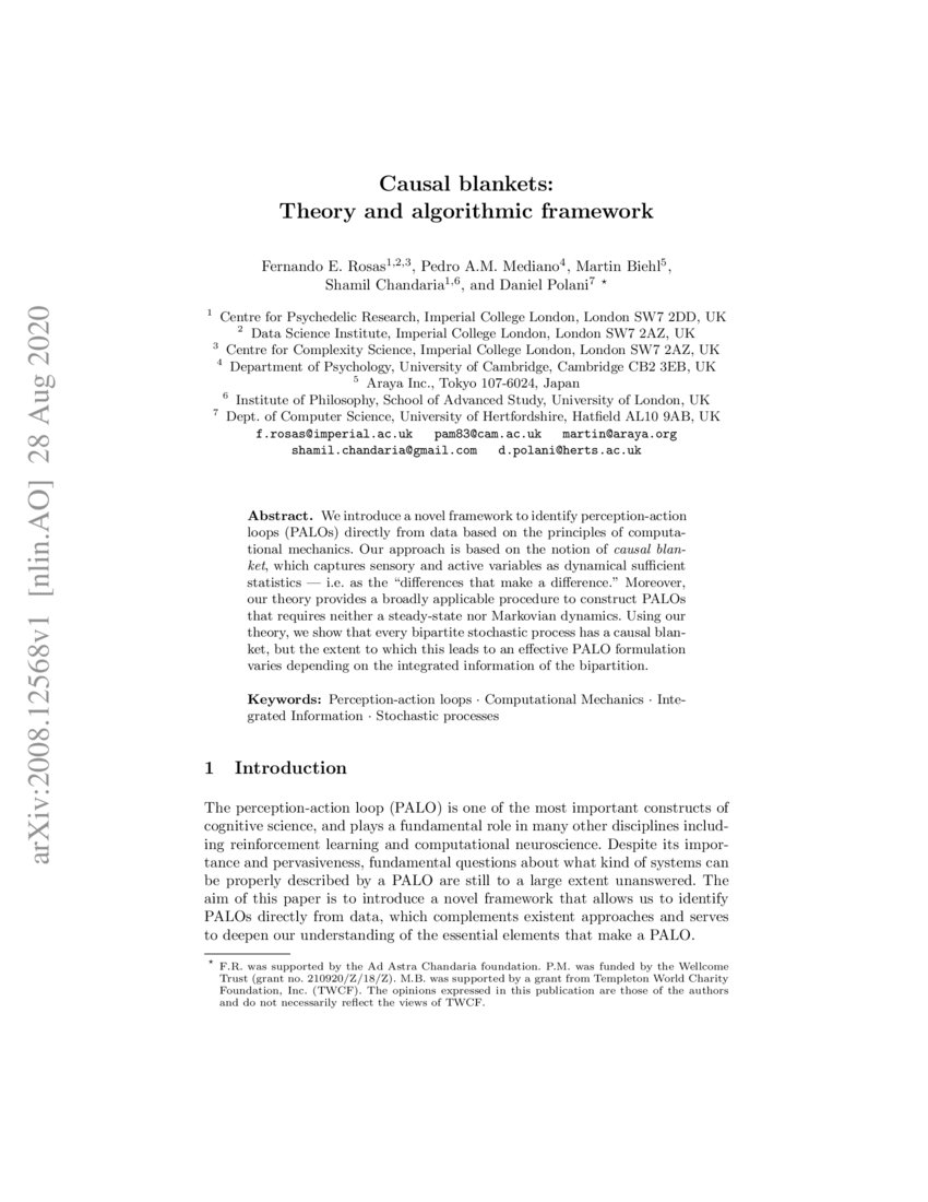Causal blankets Theory and algorithmic framework DeepAI