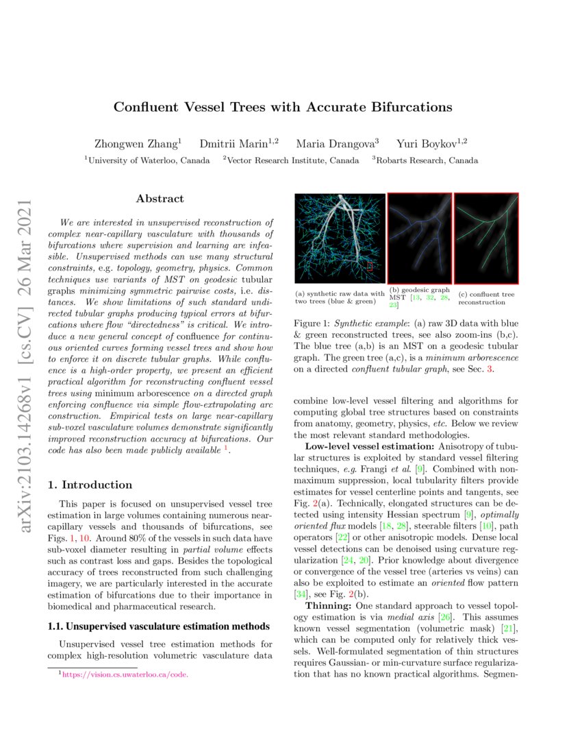 Confluent Vessel Trees with Accurate Bifurcations DeepAI