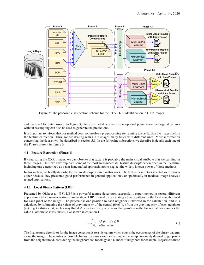 COVID19 identification in chest Xray images on flat and hierarchical