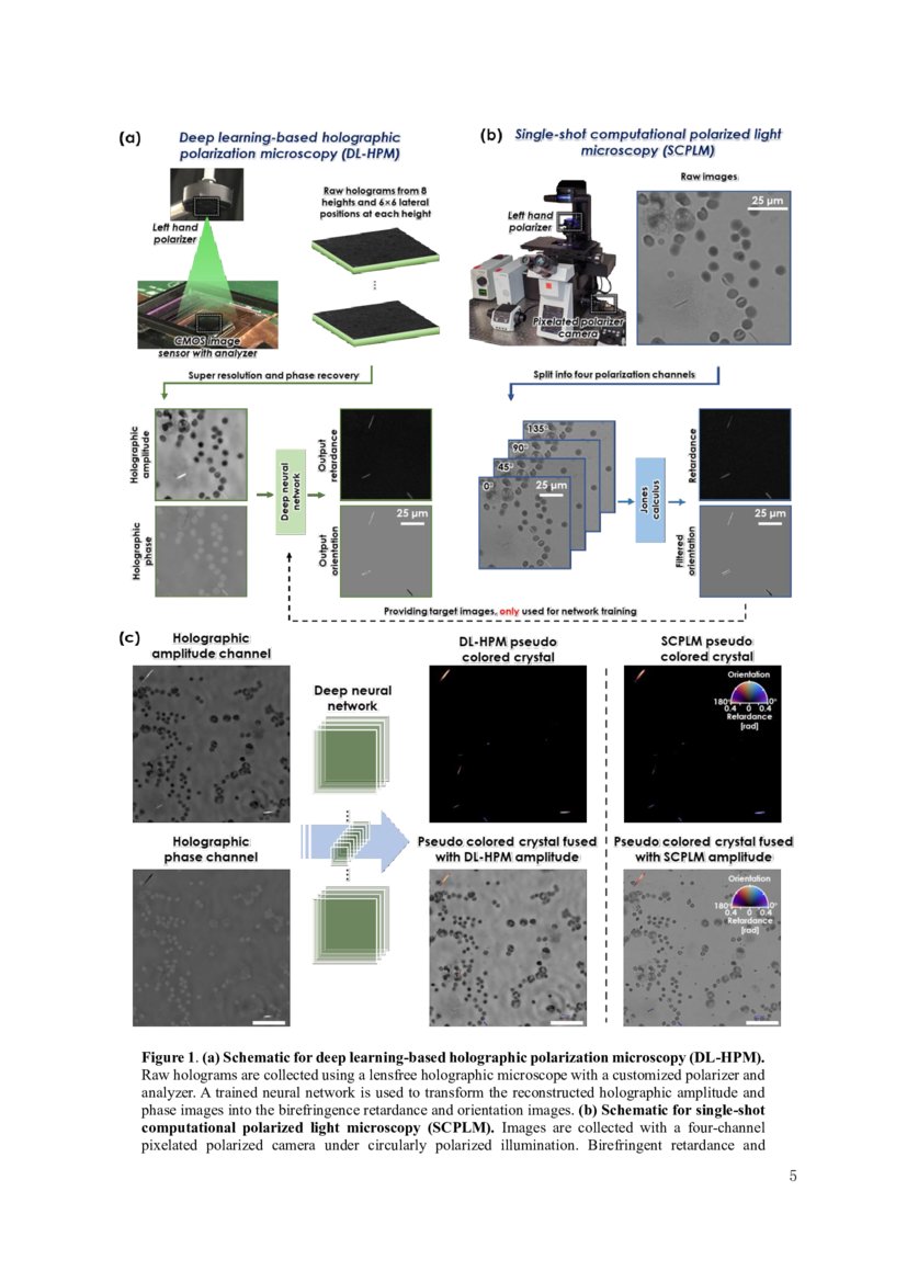 Deep learningbased holographic polarization microscopy DeepAI