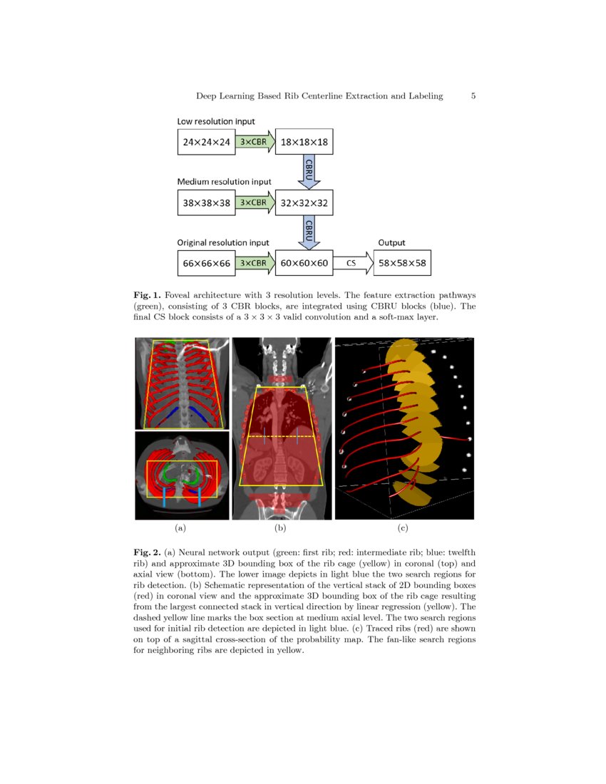 Deep Learning Based Rib Centerline Extraction and Labeling DeepAI