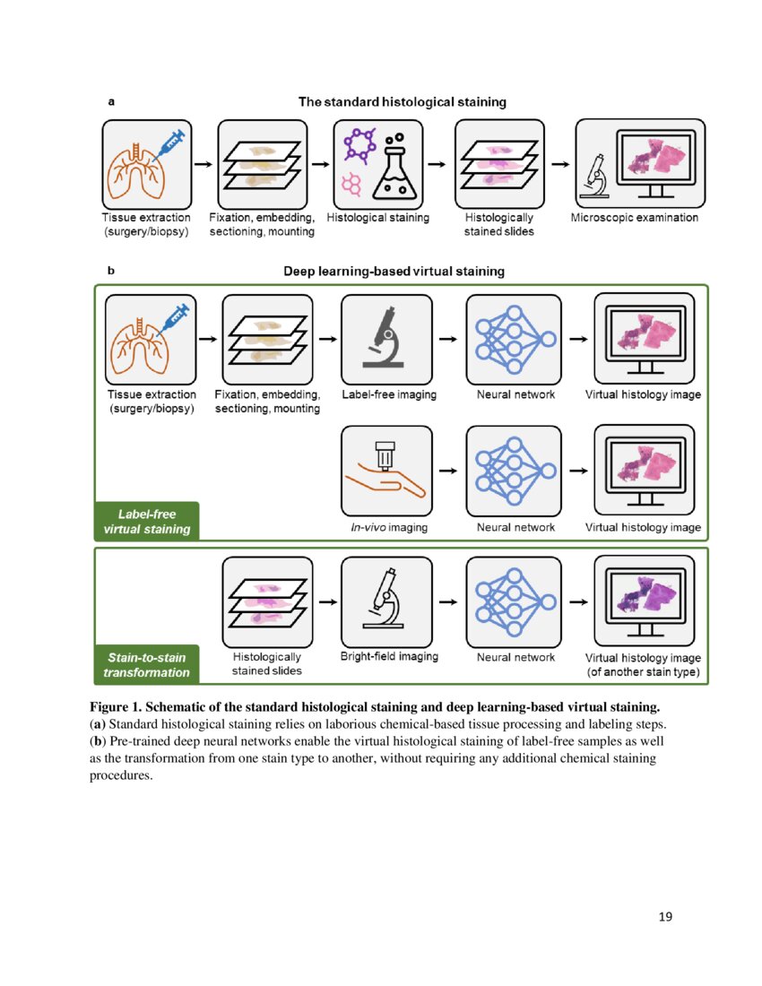 Deep Learningenabled Virtual Histological Staining of Biological