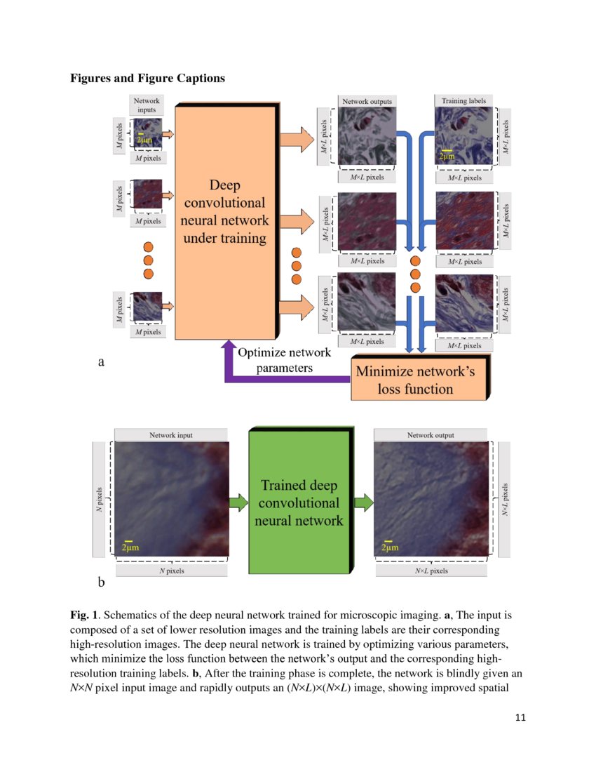 Deep Learning Microscopy Deepai Deep Learning Microscopy Deepai